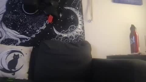 Snapshot of _bandit_b0y chatting on March 10, 11:49 pm bandit online show from March 10, 11:49 pm