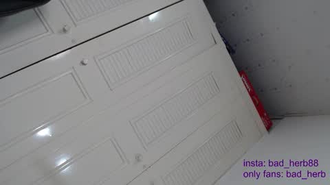 Snapshot of _real_bad_herb chatting on October 9, 4:58 am Alejandra online show from October 9, 4:58 am