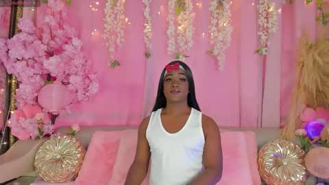 Sammy online show from November 2, 7:23 pm