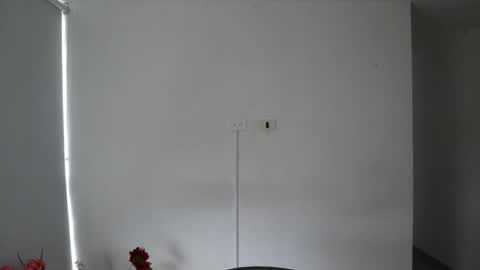 Snapshot of _vahos chatting on February 14, 6:40 pm Anastasia Vahos online show from February 14, 6:40 pm