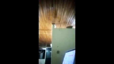 Angel dust9 online show from February 3, 5:16 am