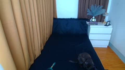 Snapshot of arabella_califa chatting on March 9, 12:21 am ARABELLA online show from March 9, 12:21 am