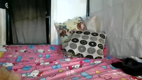 Snapshot of asianladyboy888 chatting on February 27, 6:31 pm asianladyboy888 online show from February 27, 6:31 pm