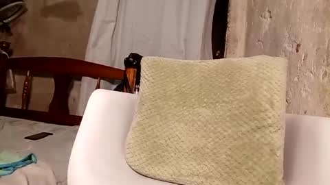 Snapshot of babyy_foxxy chatting on September 26, 10:29 pm Megan online show from September 26, 10:29 pm
