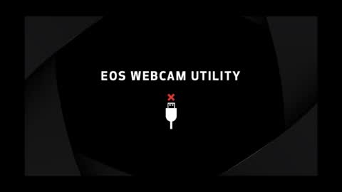 bee_thai online show from November 9, 9:04 pm