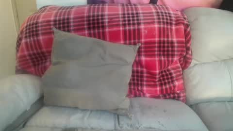 Snapshot of bigdicktrannynicole chatting on February 7, 10:20 pm bigdicktrannynicole online show from February 7, 10:20 pm