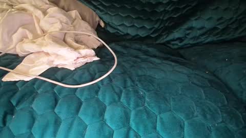 Snapshot of bigdicktrannynicole chatting on September 18, 5:35 am bigdicktrannynicole online show from September 18, 5:35 am