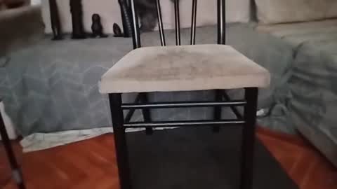 Bes7assquirt online show from January 31, 8:22 pm