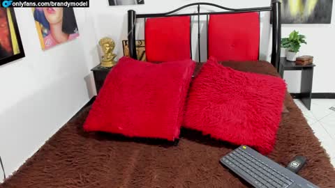 Snapshot of brandymodel chatting on December 19, 2:56 am Brandy Model online show from December 19, 2:56 am
