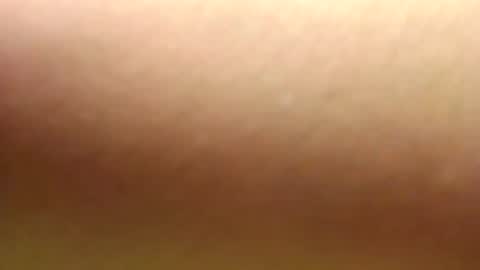 Snapshot of cameron_puppy chatting on January 1, 6:49 pm Mara Catalina Romero Ordez online show from January 1, 6:49 pm