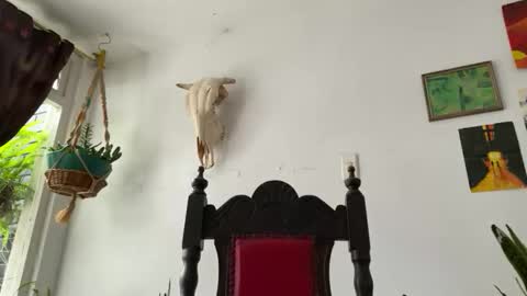  Camille   online show from November 6, 6:30 pm