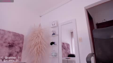 Snapshot of cammile_cole chatting on January 18, 6:48 pm Laura Camila online show from January 18, 6:48 pm