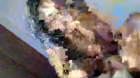 Candi online show from February 18, 10:45 am