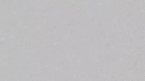 Snapshot of carinfox chatting on February 27, 5:34 am Carin online show from February 27, 5:34 am