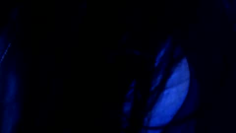 catbombon online show from February 17, 4:53 am