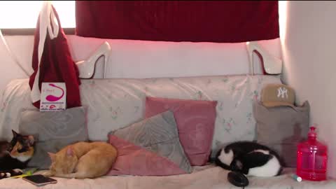 Snapshot of cicimom chatting on December 19, 2:57 pm cicimom online show from December 19, 2:57 pm
