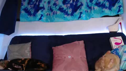 Snapshot of cicimom chatting on February 13, 5:24 am cicimom online show from February 13, 5:24 am