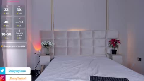 Daisy online show from November 21, 1:12 pm