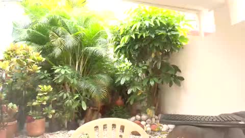 Dannamunoz130 online show from October 12, 1:02 pm