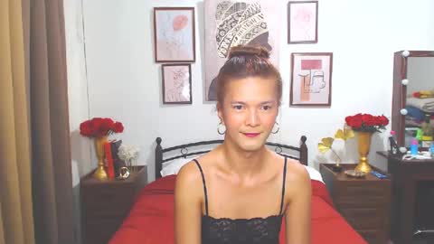 Snapshot of diense17 chatting on December 14, 1:06 am Dennesse online show from December 14, 1:06 am