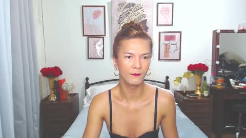 Snapshot of diense17 chatting on December 24, 10:49 pm Dennesse online show from December 24, 10:49 pm