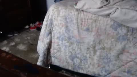 dreamreal online show from September 14, 10:20 am