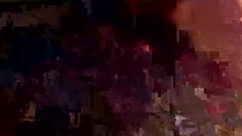 Bottom sissy online show from November 16, 6:12 am