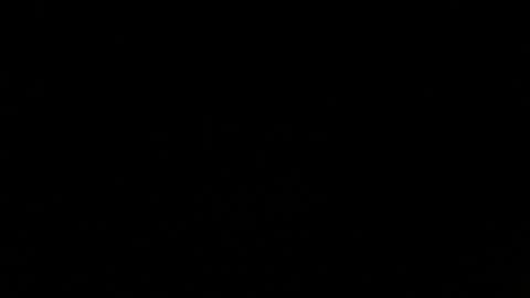 exy__flexy online show from November 19, 7:41 am