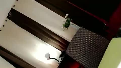 femboy_veronica online show from October 14, 12:17 pm