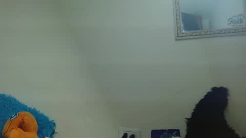 Fenix online show from October 19, 6:22 pm