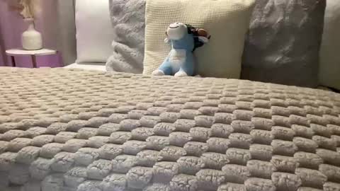 Snapshot of foxyluscious chatting on February 21, 6:37 pm Ms Celeste Anne online show from February 21, 6:37 pm