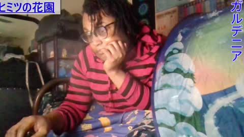 Gardenia online show from January 6, 9:41 am