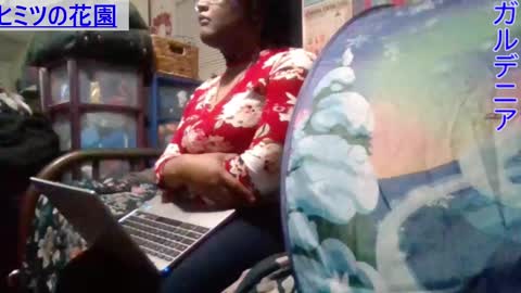 Gardenia online show from January 8, 7:55 am
