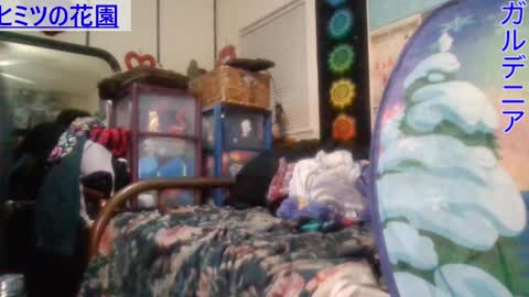 Gardenia online show from January 31, 6:35 am