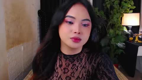 haily online show from November 12, 3:30 am