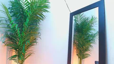 Harper  online show from October 12, 8:39 am