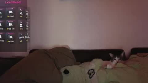 Indiana Rouge online show from February 9, 1:14 pm