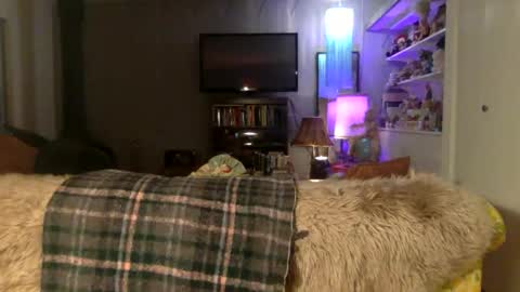 jaed online show from November 16, 1:54 pm