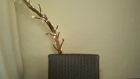 jessieross18 online show from December 13, 1:15 am