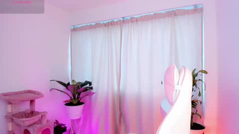 Snapshot of kali_ka chatting on February 21, 12:28 pm Kali Ka Please help me with your thumbs up its important dont forget my birthday on October 26 online show from February 21, 12:28 pm