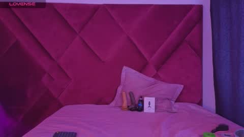 Cattleya stone online show from October 26, 2:40 am