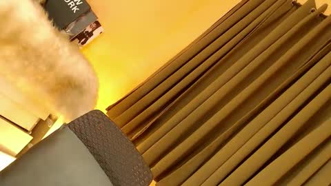 Ebony online show from October 11, 7:16 pm