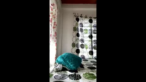 kiara blaze online show from January 17, 8:16 pm