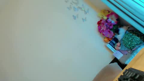 Snapshot of lady_in_black18 chatting on January 19, 9:55 pm Stella online show from January 19, 9:55 pm