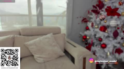 Snapshot of leyla_steel chatting on December 24, 2:01 pm INSTA leylasteel model online show from December 24, 2:01 pm