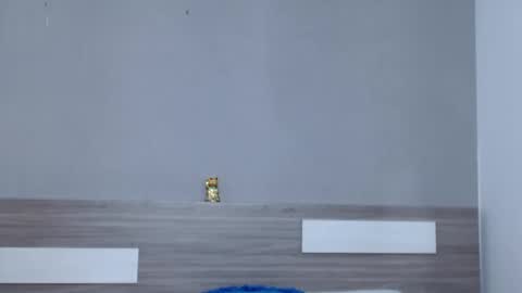 Snapshot of liiamthompson chatting on October 7, 1:34 pm Liam thompson online show from October 7, 1:34 pm