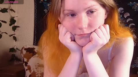 Sofia online show from December 8, 9:10 pm