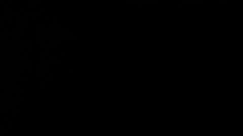 Cookie  online show from February 27, 10:10 am