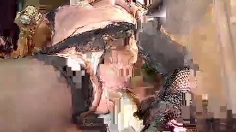 maschpro online show from January 9, 11:02 pm