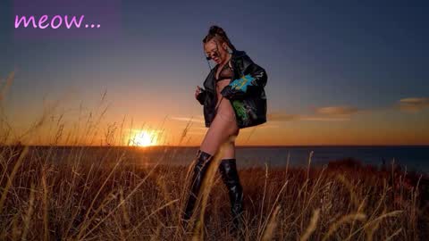 Meeeow  opening hours are from 2200 in New York online show from October 20, 7:11 am